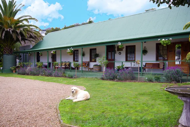 Wolwedans Guest Manor