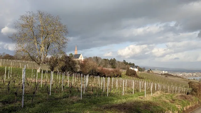 Weingut Dreikönigshof