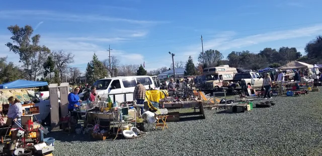 Italian Picnic Grounds