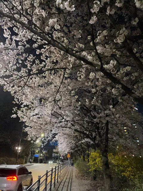 굽네치킨 용인죽전1호
