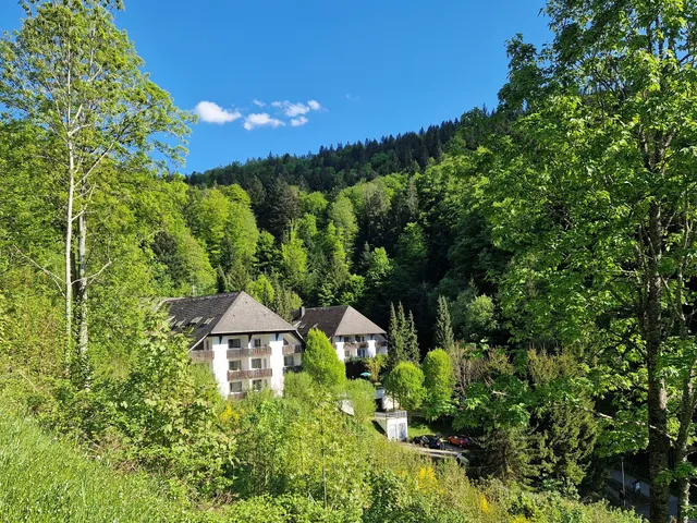 Ferienwohnung Triberg am Waldrand - idyllisch, ruhig, erholsam