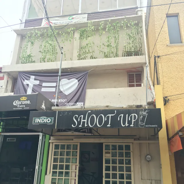 Shoot up