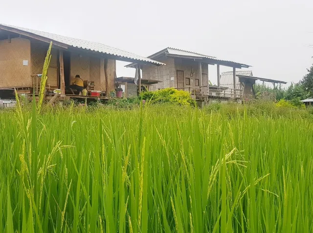 บ้านเปียงนา