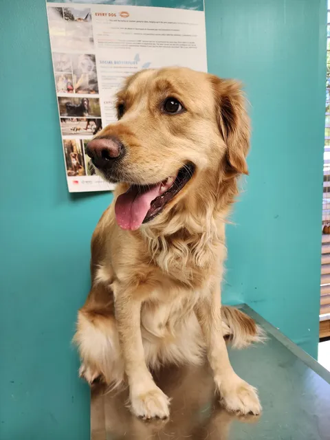 Humane Society of North America