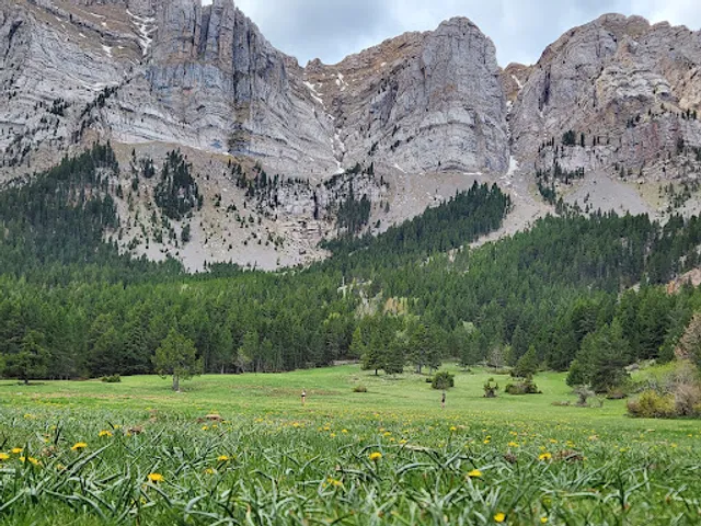Parc Natural del Cadí-Moixeró