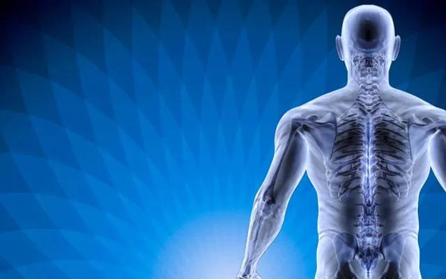 Trauma & Rehab Associates Chiropractic Miami