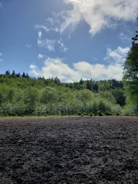 Tails and Trails Dog Park