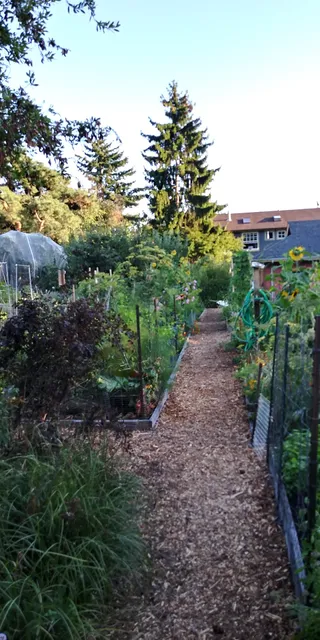 Good Shepherd P-Patch