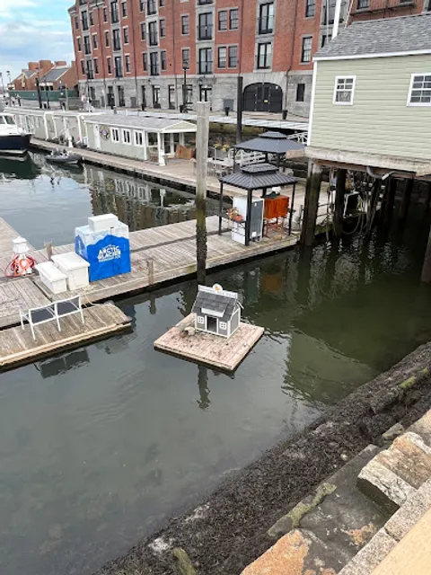 Waterboat Duck House