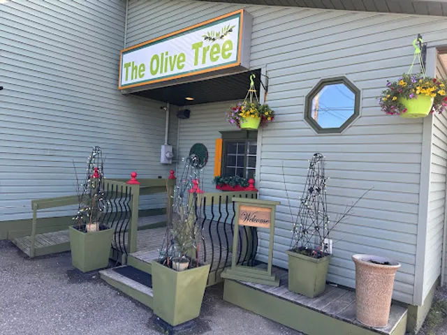 The Olive Tree