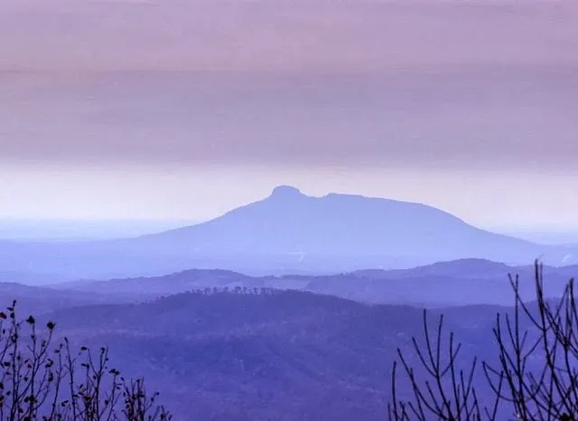 The Art Of Massage and Wellness