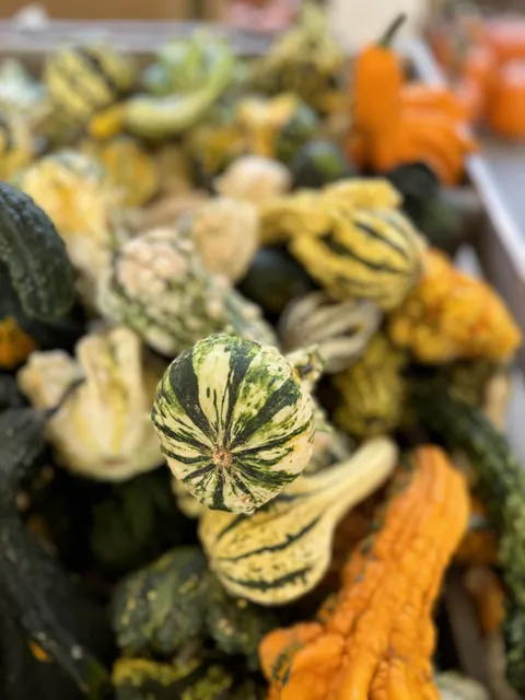 White's Family Farm, LLC