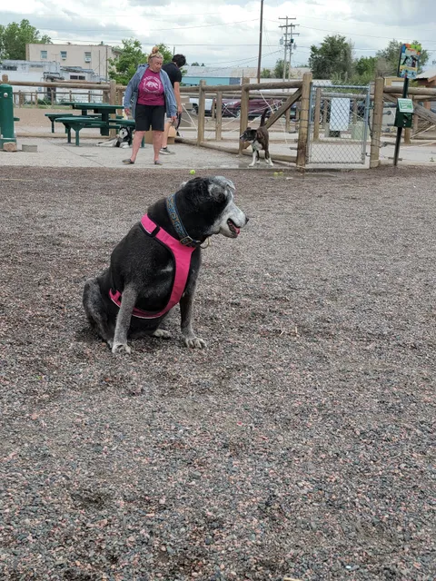 Little Dry Creek Dog Park