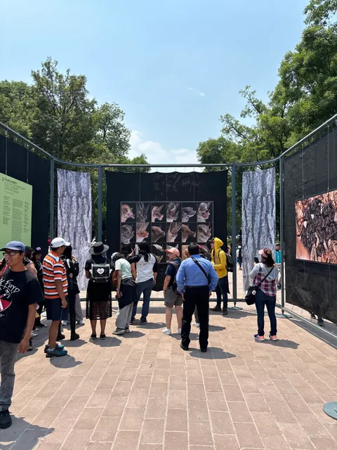 Bosque de Chapultepec
