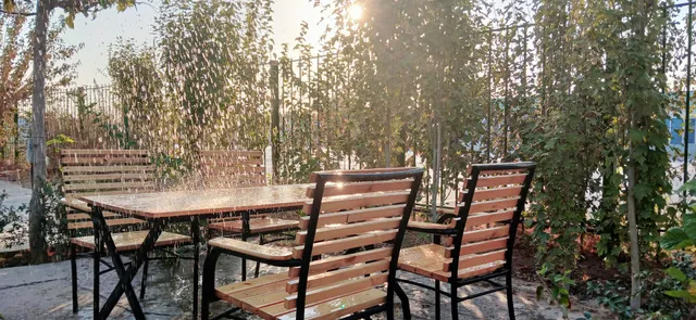 Saya Restaurant Mary