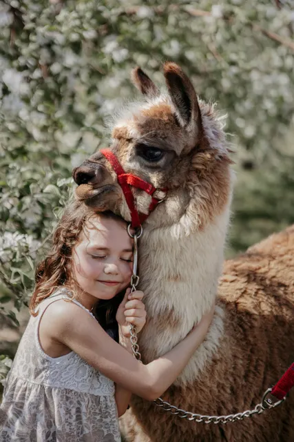Verger Champêtre - Gîte & compagnie