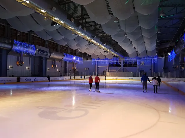 Крытый каток многофункционального развлекательного комплекса "Таврический сад"
