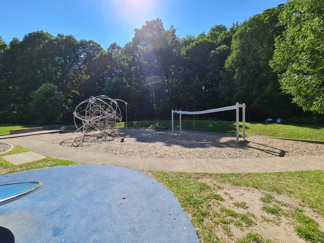 Salamander playground