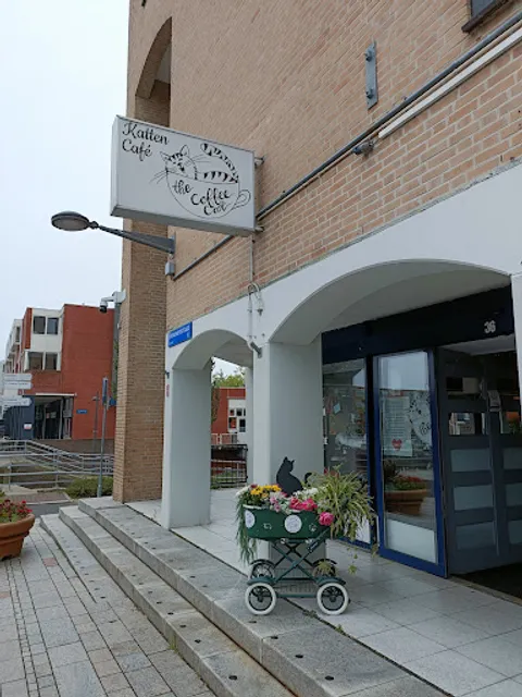 Kattencafé The Coffee Cat