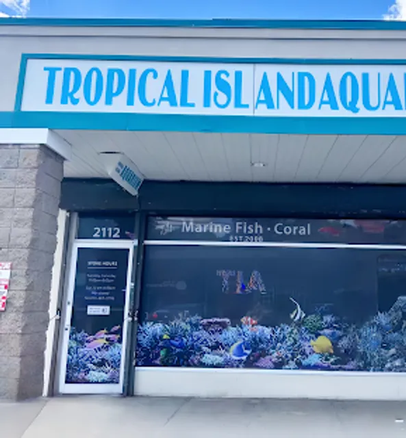 TIA Collection Corals (Tropical Island Aquatics) Saltwater Only