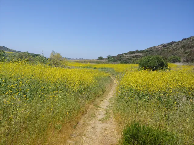 Turtle Ridge Trailhead