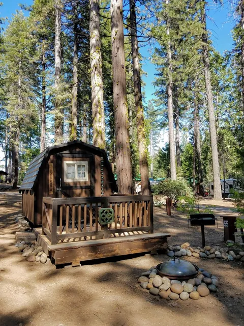 Golden Pines RV Resort and Campground - Arnold, CA