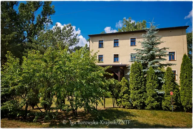 MŁYN NA SKRAJU LASU