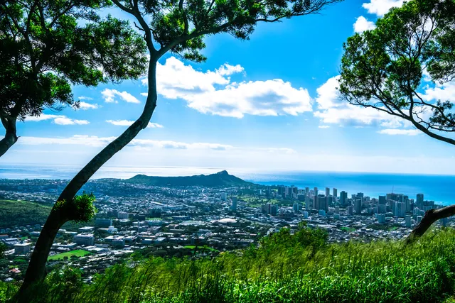 Round Top Forest Reserve