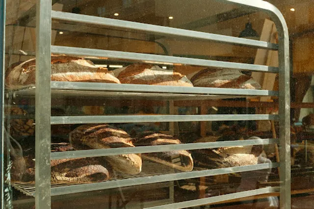 Ferments Bakery