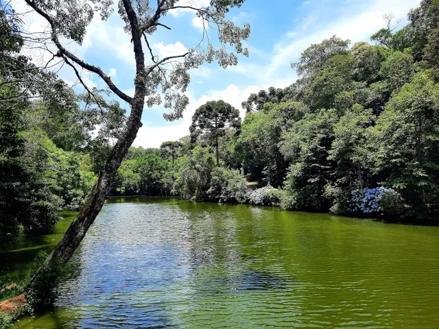 Parque Barreirinha