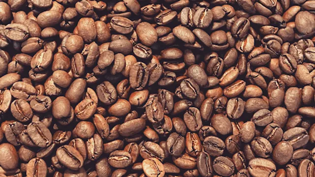 Coffee Latitudes Cafe & Roastery