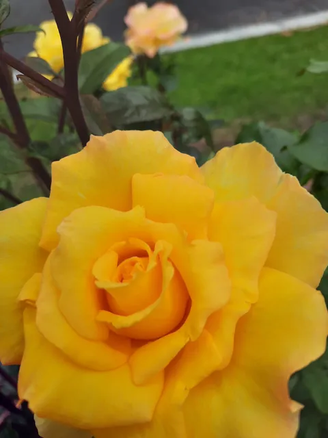 photo-2