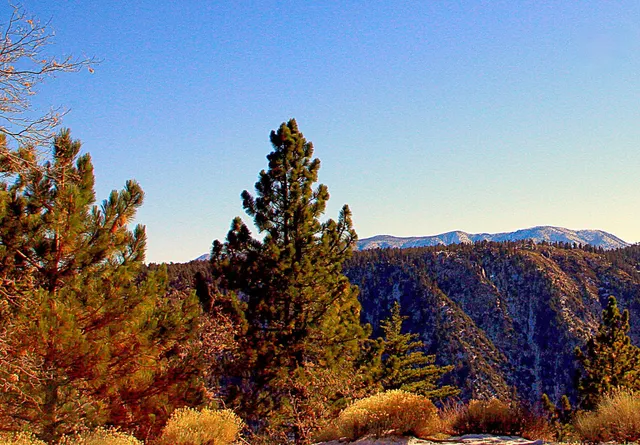 Little Green Valley Trail 2W10