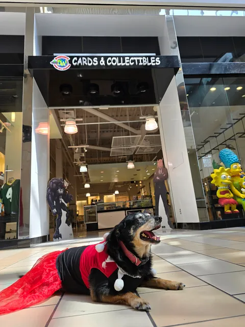 Dream World Collectibles