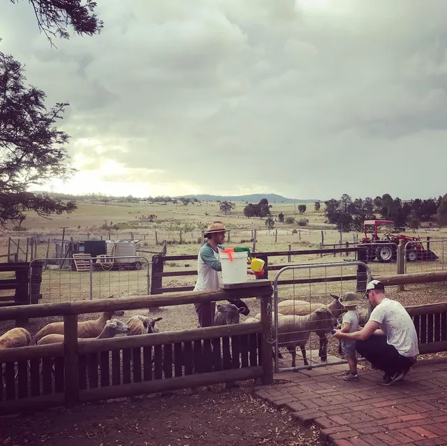 Clandulla Cottages & Farmstay