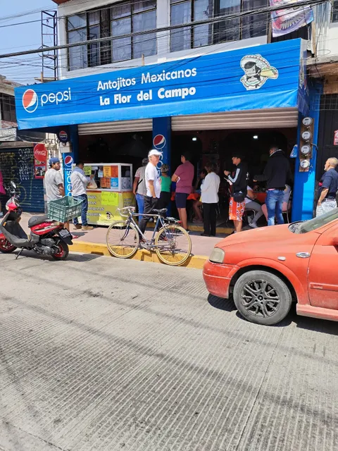 Antojitos Mexicanos La Flor del Campo