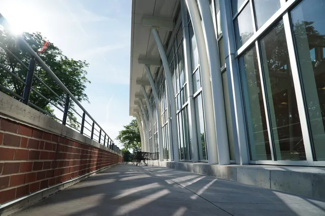 Mount Mercy University