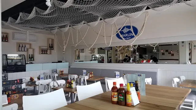 Marlín, Mar y Tierra