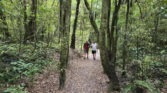 Pakuratahi Forest: Kaitoke Loop Road Entrance
