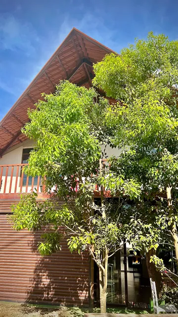 Chillout House Recycled Home