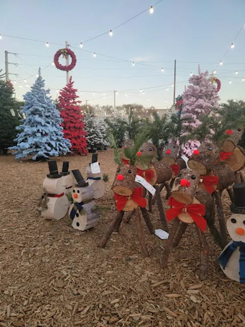 Pumpkin City's Christmas Trees