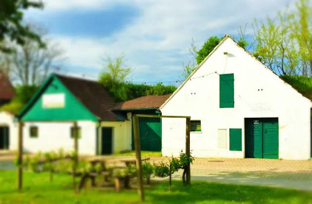 Weingut & Heurigen DÖLLINGER