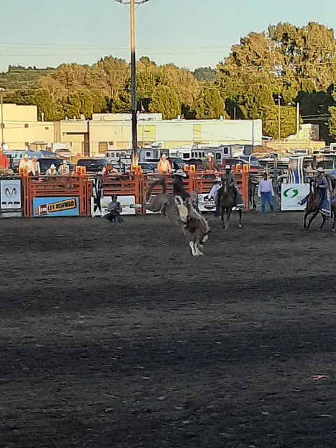 Thunder Mountain Pro Rodeo