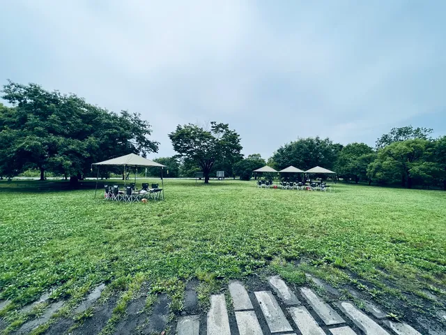 Saiko Dōman Green Park Barbecue Site