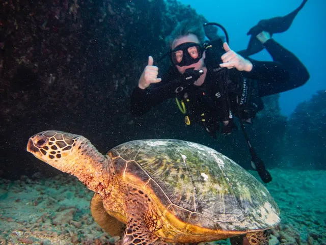 Hawaiian Diving Adventures