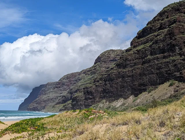 Polihale State Park Camping Area 4