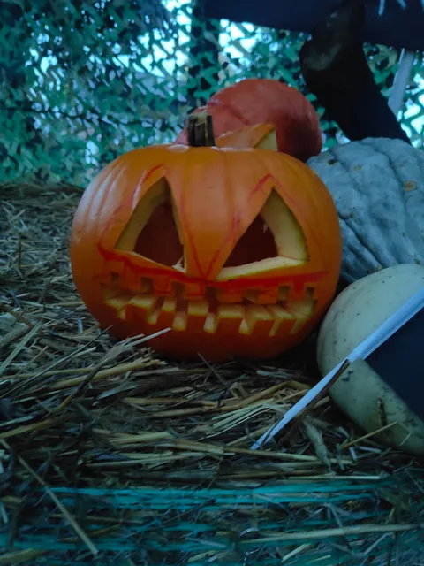 Horror-Haus-Dreierwalde