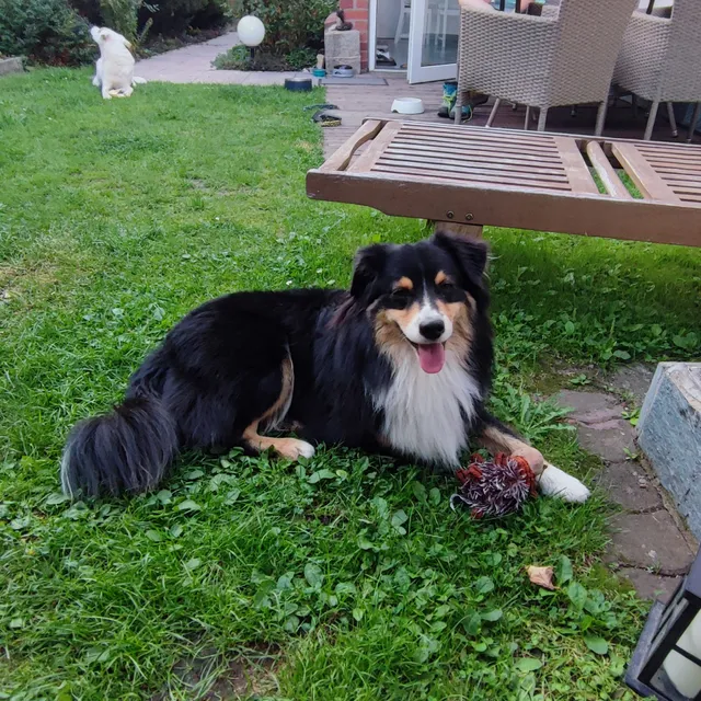 Ferienhaus am Horstberg