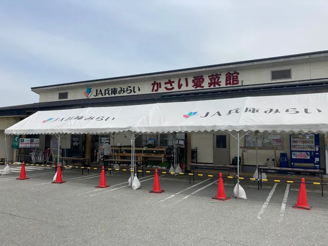 JA Hyogomirai Kasaiaisaikan