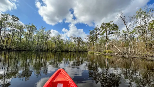 Crescent City Kayak - Swamp Tours